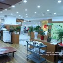 이비가짬뽕 이미지