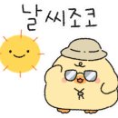 사지목 나무그늘 네이버블로그