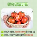 준호네 | 다이어트 맛있게 먹으면서 하자! 먹거리 공구방 준호네 햇 완숙 찰토마토 후기!