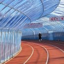 스타디움앤쿡 | 파주러닝트랙,,, 날아갔다면서요?