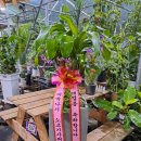 선경당구클럽 이미지