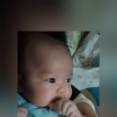 이아진 카카오 검색결과