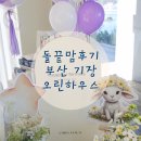 수하우스 | 부산 기장 오린하우스 소규모 돌잔치 내돈내산 실제후기