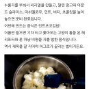 요리대회 대상받은 민트초코김밥 이미지