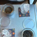 구례북초등학교 | 전남 구례 카페 소식다료 차실 분위기 좋은 곳