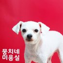 뭉치네 미용실 이미지