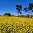 성빈한의원 이미지