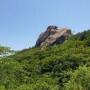 부자막국수 이미지