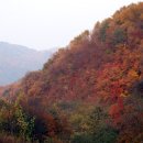 갤러리광고 이미지