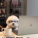 GS25 오천용덕스타점 | 🐶2025년 2차 검정고시 시험일 가답안 &amp; 합격예측🐶