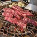 꽃보다갈빗살