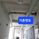 대암로R Daum카페