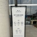 주식회사 구스범스리바트리