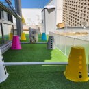 소소하개 이미지