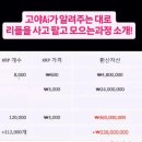 돈패닉유스 | 유스메타 EX 고야AI 시그널 5일차 기록!