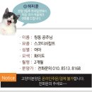 링동