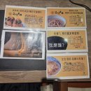 제4기 영어키움반 | [대만 타이난] 창위/창유 호텔 Changyu Hotel _ 타이난역 근처 호텔 / 가성비 숙소 추천 NoL