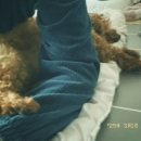 놀러왕왕왕 이미지