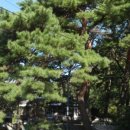 금진3리 이미지