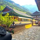 동학사 - 1053 | 동학사