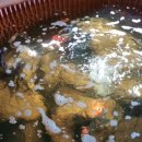 골말농장 이미지