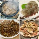 월영동113 | [창원마산] 맛도리만 찾았읍니다 ... 못난이집 금향 머구리 몬스터커피 (주차 메뉴주문 TIP)