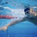 국제체력단련장 이미지