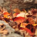 소향공원 이미지