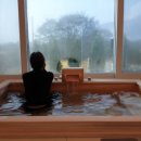 도고저수지길 이미지