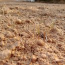 황진농장 이미지