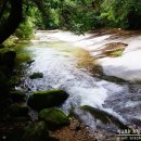 꽃피는 무릉도원 이미지