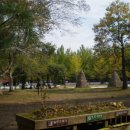 농협원대동 이미지