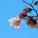 아름다운 이미지