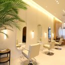 우연이미용실 이미지