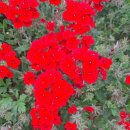 경주 둥지가족펜션 이미지