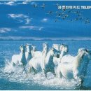 카드119