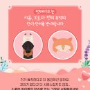 동물병원 돌봄 이미지