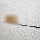 연산백련로 1번길 79 이미지