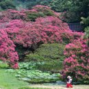 자연시간 이미지