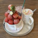 정호목장 | ✨2025 첫 기록