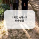 서울로하스치과의원 이미지