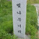 아산 마라톤 훈련코스 ( 하프 & 11km ) 이미지