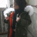노블항공 이미지