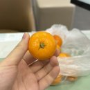 윤선공방 | 12월 네 번째