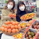 토마토유통