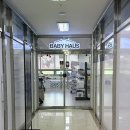 화성실버하우스 | 베이비하우스 향남점에서 오이스터4 [샴페인 샌드달러] 절충형 유모차 구매 후기 (내돈내산)🐥