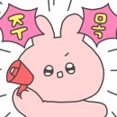 서광이지 이미지