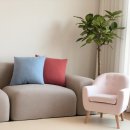 카멜레온 디테일 이미지