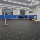 P&M 반려견교육센터 대전점 이미지