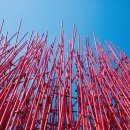 영월 Y파크(술샘박물관) 이미지